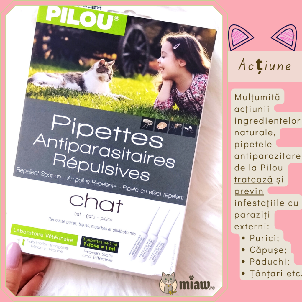 pipete pentru pisici de la Pilou